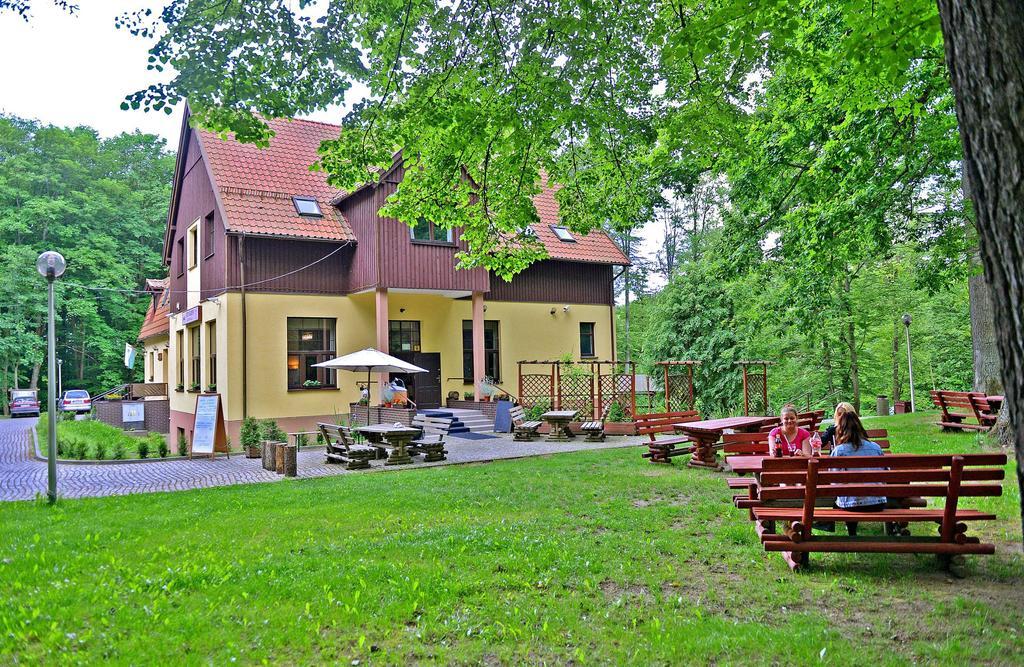 Kościerzyna 威廉斯特尼采旅馆酒店 外观 照片