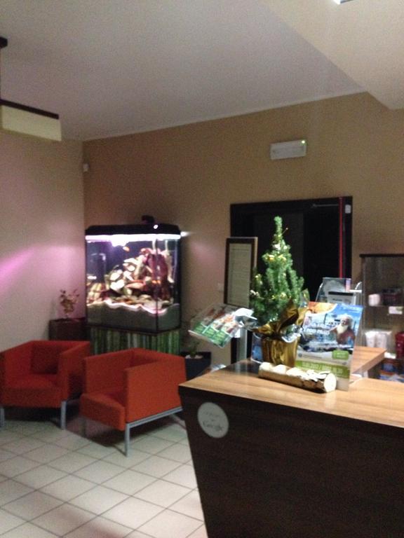 Kościerzyna 威廉斯特尼采旅馆酒店 外观 照片